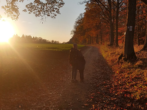 Paar bei Herbstspaziergang im Gegenlicht.