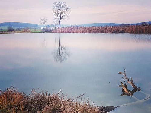 Winterliche Stimmung in Demanthsfürth am Weiher.