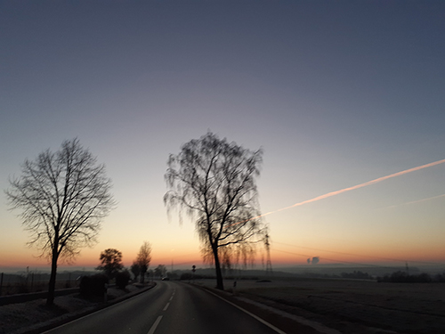 Abendstimmung mit zwei Bäumen im Gegenlicht