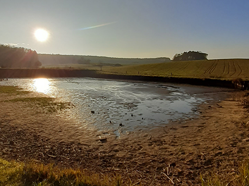 abgelassener Weiher bei Uehlfeld