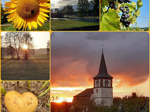 Collage mit Kirchturm im Sonnenuntergang, Sonnenblume, Weinstock mit Trauben, herzförmige Kartoffel, Flusstäler