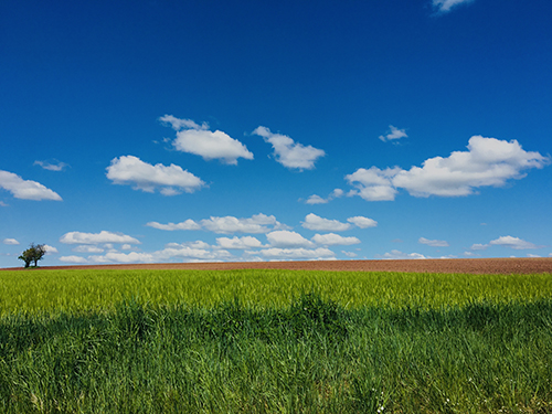 Landschaftsbild mit strahlend blauem Himmel, Wiese und Acker