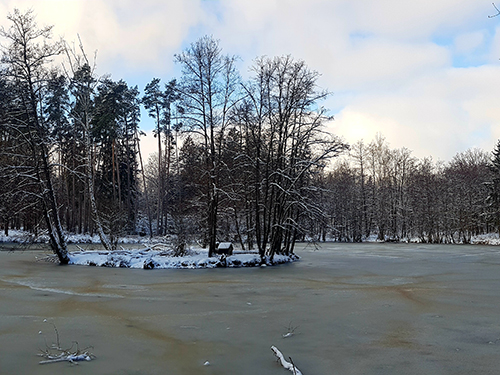 Zugefrorener Weiher im Wald mit kleiner Insel