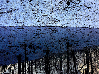 Spiegelung von Wald in einer Wasserfläche