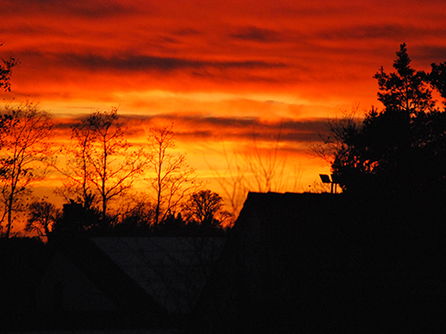 Sonnenuntergang mit glühend rotem Himmel über Hausdächern und Bäumen im Gegenlicht