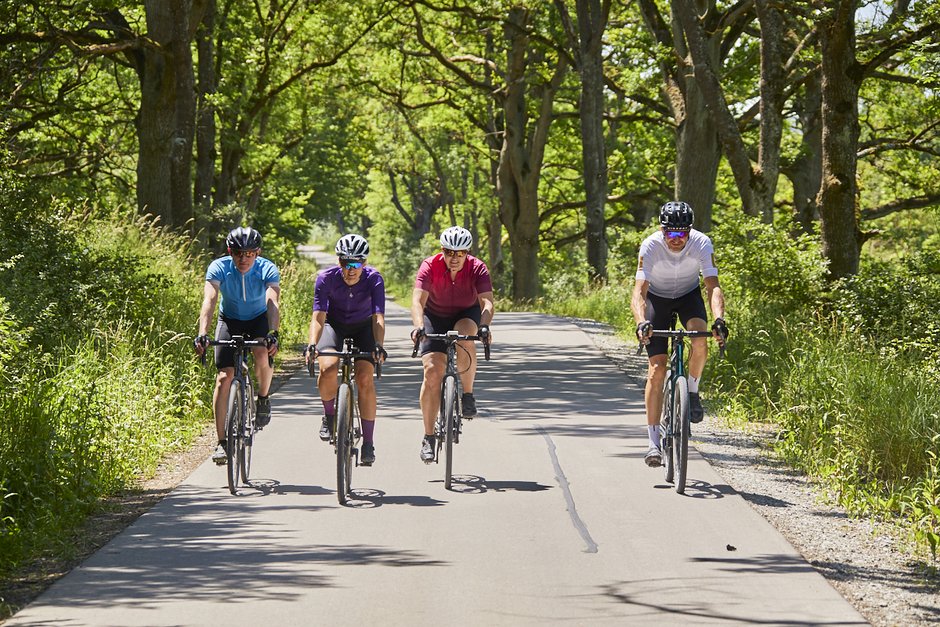 ©Ines Männl Vier Radfahrer fahren sportlich durch eine Baumallee.