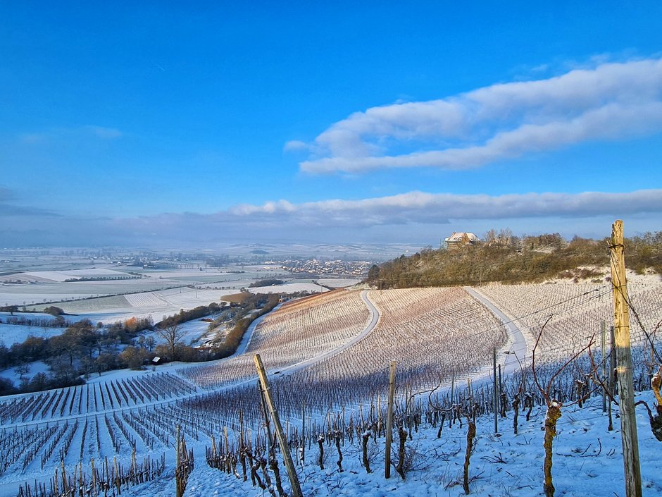 Foto: Karin Buchfellner, Burg Hoheneck mit Schnee Blick auf Weinberge und Burg Hoheneck mit Schnee