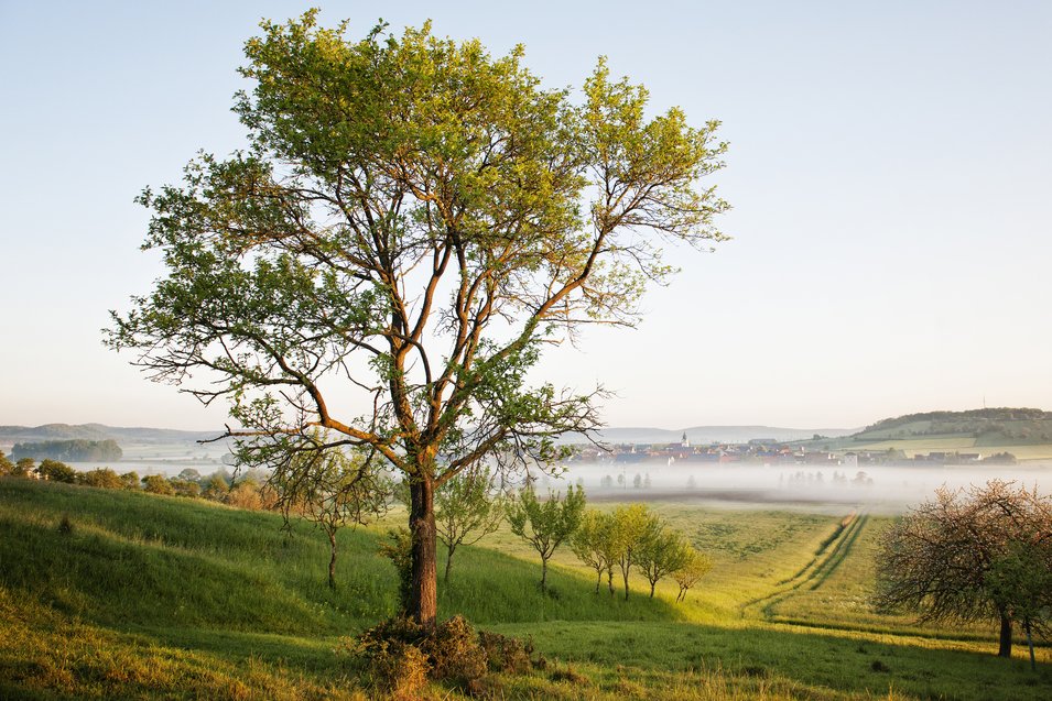 © Florian Trykowski Blick auf Krautostheim