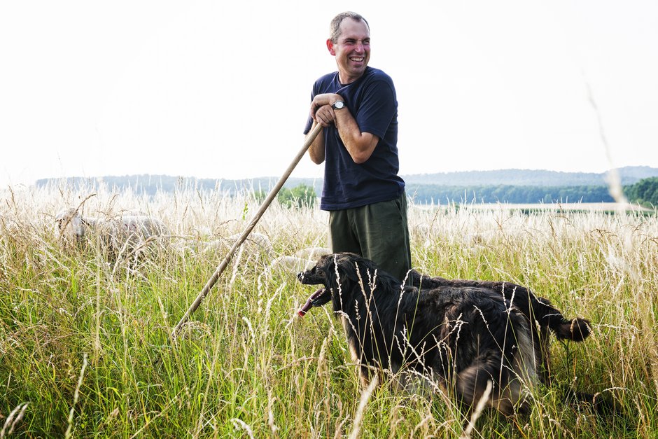 Schäfer mit Hirtehund © Florian Trykowski Schäfer mit Hirtehund