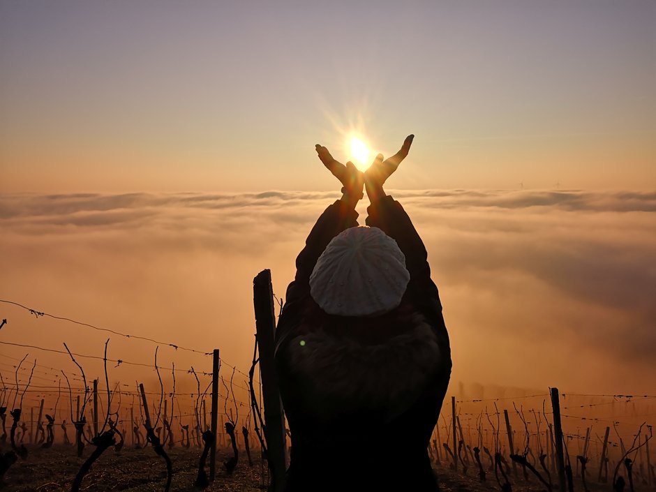 Bullenheimer Berg Frau steht in einem Weinberg und es sieht so aus, als ob sie die Sonne in den Händen halten würde.