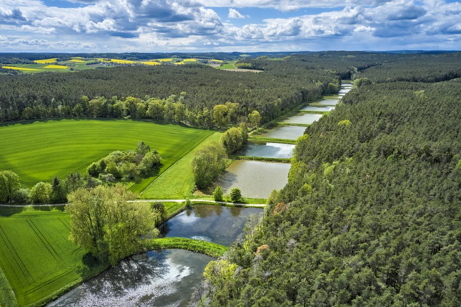 Weiherkette bei Tragelhöchstädt © Florian Trykowski
