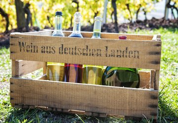 Verschiedenfarbige und -große Weinflaschen in einer Weinkiste aus Holz.