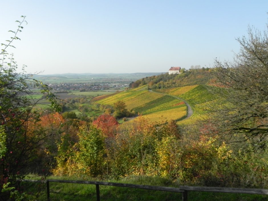 Blick auf die Weinberge in Ipsheim und die Burg Hoheneck im Herbst mit buntem Laub.