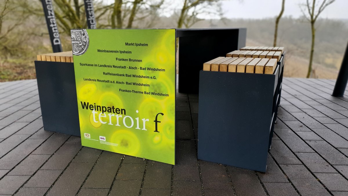 Weintresen am terroir f in Ipsheim