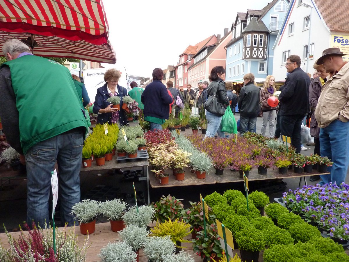 Menschen auf einem Markt beim Blumen kaufen 