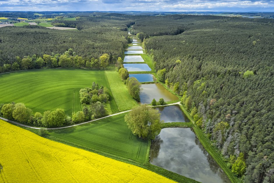 © Florian Trykowski Egelsbacher Weiherkette