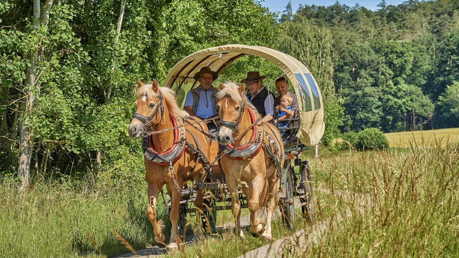 ©Florian Trykowski Pferdekutsche mit zwei vorgespannten Pferden und Planwagen fährt auf einem Feldweg.