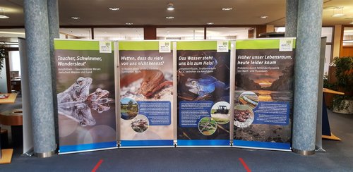 Amphibien-Ausstellung des BUND Naturschutz