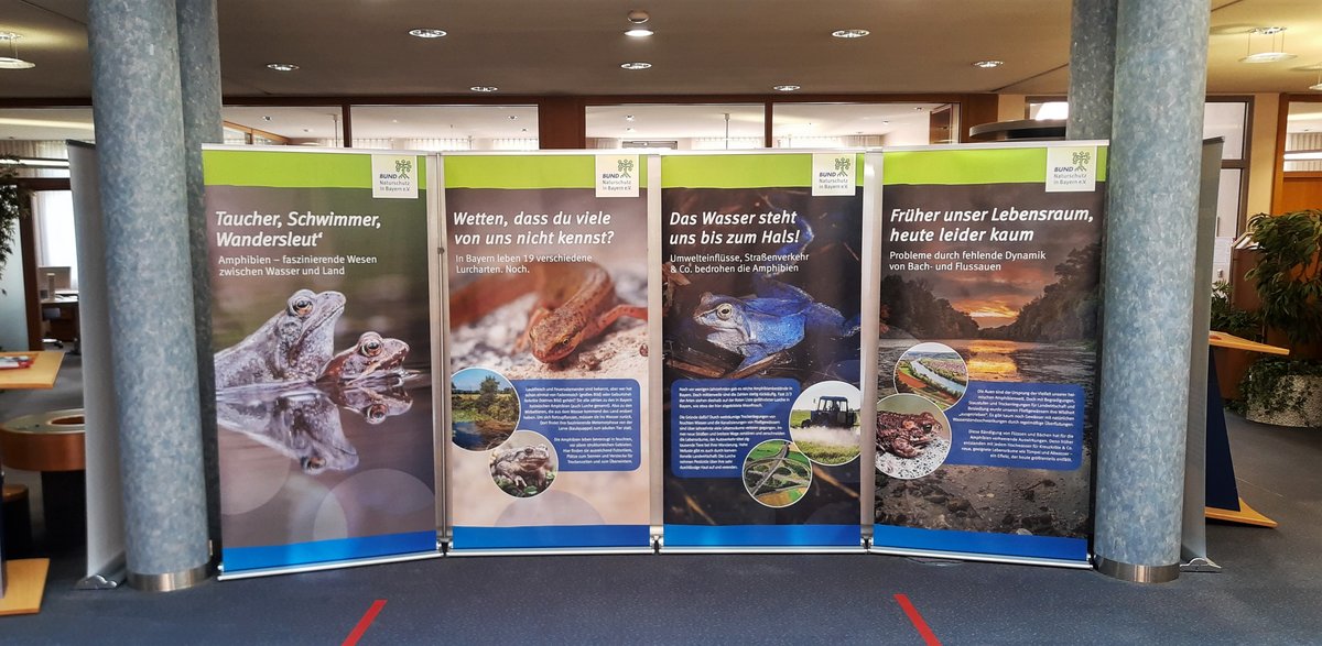 Amphibien-Ausstellung des BUND Naturschutz